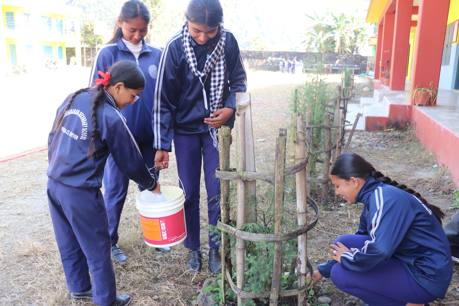 Le club pour enfants de Pokhara s'engage en faveur du reboisement. Le club pour enfants de Pokhara s'engage en faveur du reboisement.