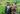 Bild: Titel Bild: Alt
