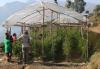 Une serre au Népal offre de nouvelles perspectives dans l'agriculture.