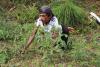 Un homme travaille dans le jardin.