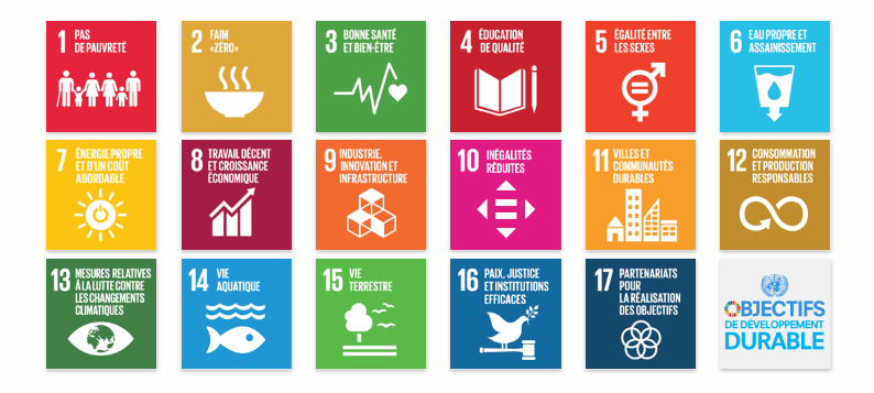 6 des 17 objectifs de développement durable de l'ONU s'inscrivent dans la mission de SOS Villages d'Enfants.